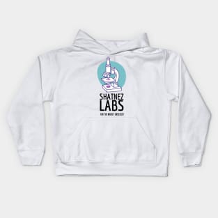 Shatnez Labs - For the Mildly Obsessed Judaica Kids Hoodie